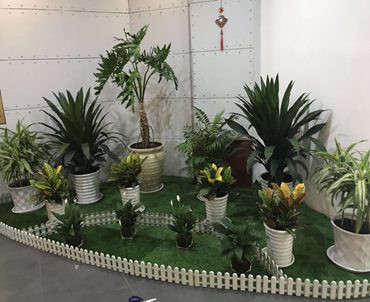 太原国贸大酒店绿植租赁设计案例