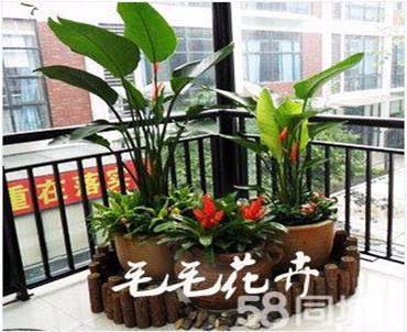 太原国贸大酒店绿植租赁设计案例