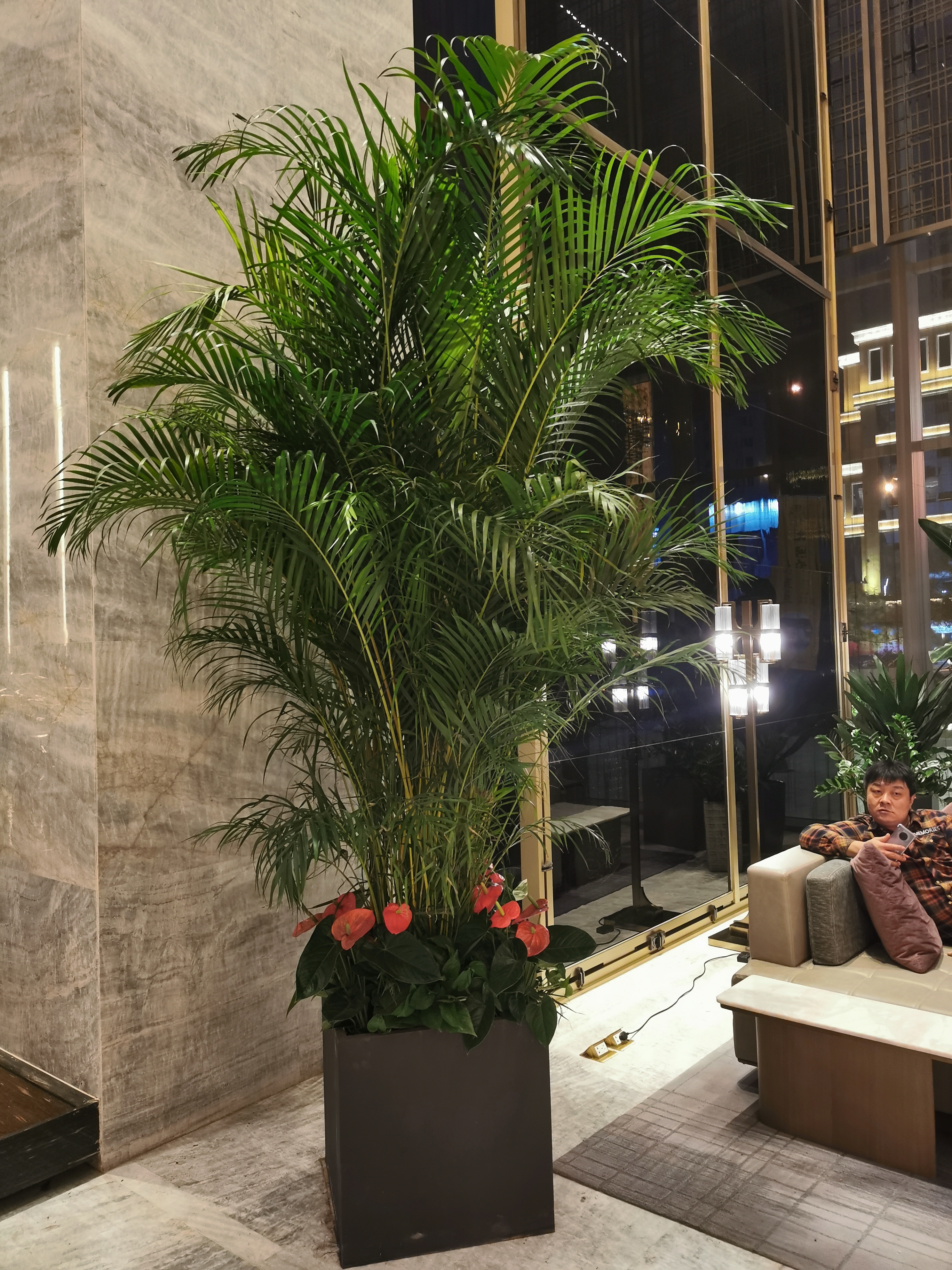 太原皇冠假日酒店绿植租赁合作案例