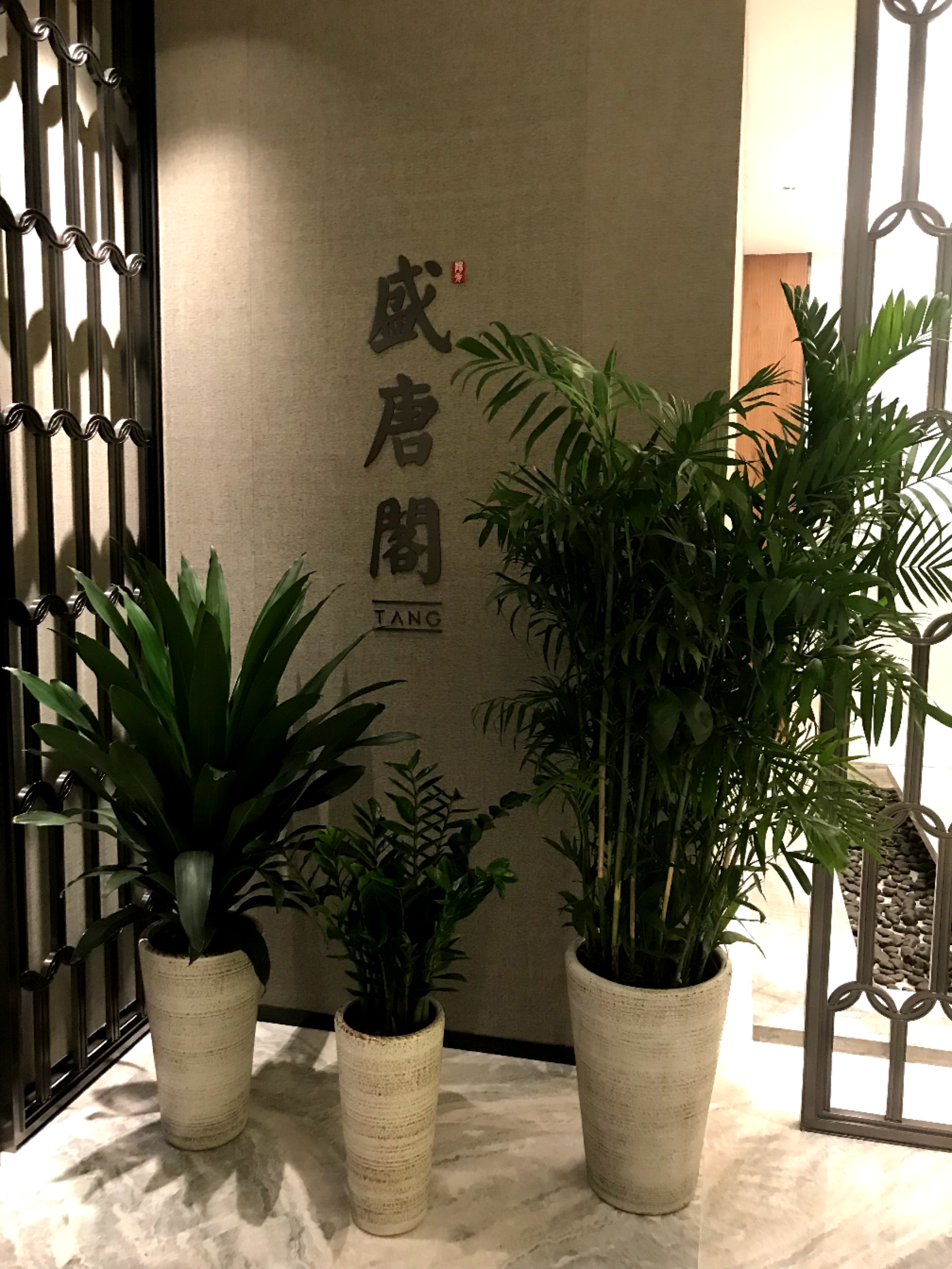 太原皇冠假日酒店绿植租赁合作案例