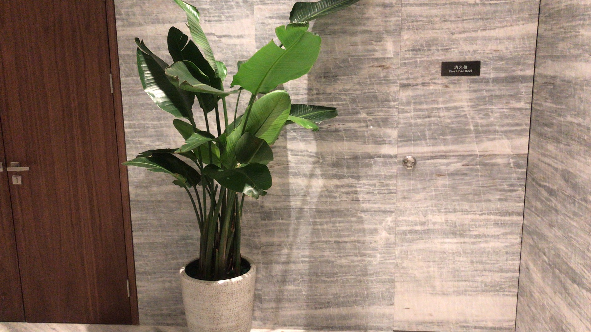 太原皇冠假日酒店绿植租赁合作案例